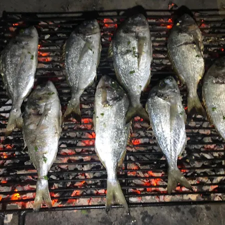 Skolj Apartamento Jovici (Zadar)