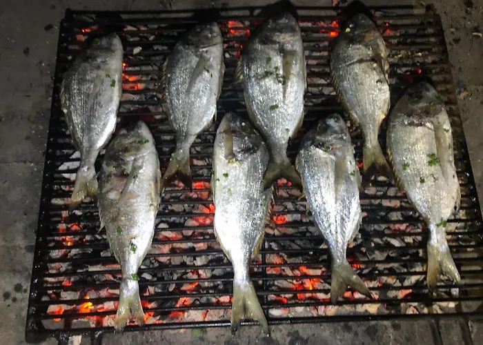 Skolj Apartament Jovici (Zadar)