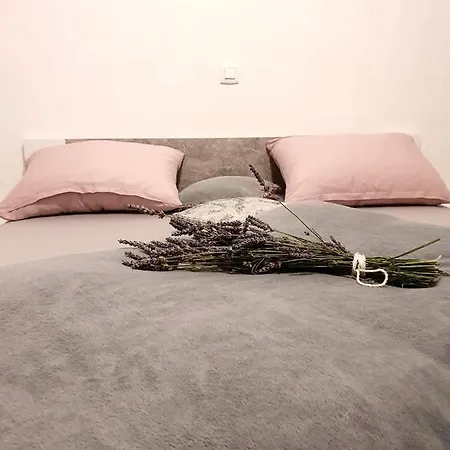Skolj Apartment